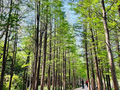 -云龙湖旅游景区