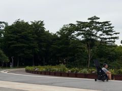 -福田红树林生态公园