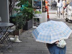 -S.O.E COFFEE(五道营店)