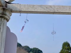 -苏州上方山国家森林公园