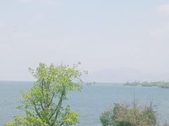 -野菌皇海景野生菌火锅(滨海大道店)