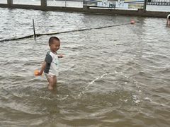 -碧海金沙