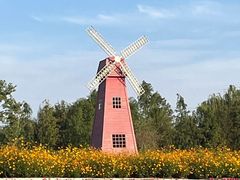 -同里国家湿地公园