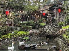 -青城甲(青城山店)