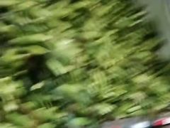 -北京新发地农产品批发市场-特菜交易厅