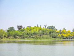 -东郊湿地公园