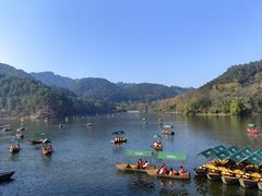 -黔灵山公园