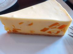 芒果cheese&nbsp;cake-安德鲁饼店(总店)
