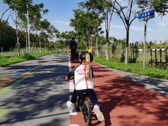 -上海长兴岛郊野公园