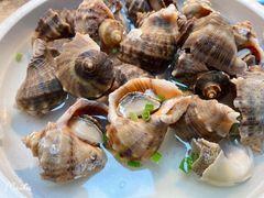 -开海·红岛海鲜虾水饺(石老人店)