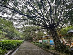 -海口火山口国家地质公园