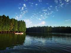 -上海海湾国家森林公园