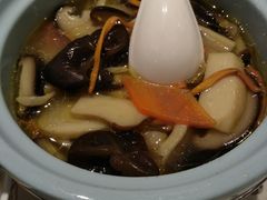 蘑菇烩杂菜-泉上·发现DISCOVERY ·黔菜餐厅(银海元隆广场店)