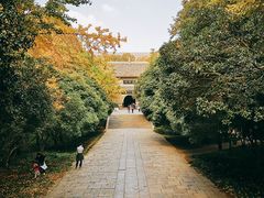 -灵谷景区
