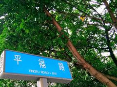 -张婆婆香酥锅盔(平福路店)