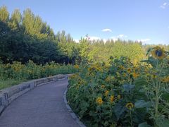 -长春公园(普阳街道)