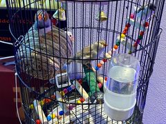 -悦融·京鲁菜·露台花园(安定门店)