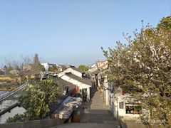 -西塘人家•黑金冠本地好店