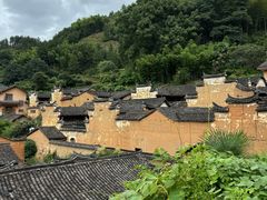 -杨家堂村