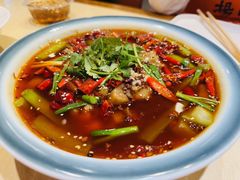 -杨氏青龙虾·羊蝎子(珠江路店)