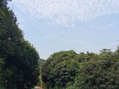 -凤岗南门山森林公园