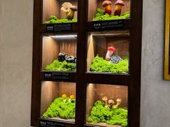 -菌自由丨野生菌火锅特色庭院餐厅(丽江古城店)