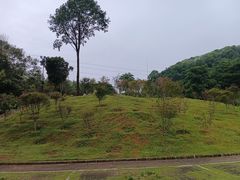 -广州市帽峰山景区