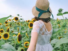 -中国天府农业博览园