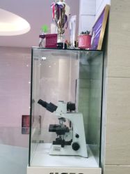 -比华利美容医院