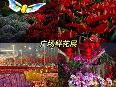 -天河体育中心
