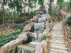 -广州市流溪河国家森林公园