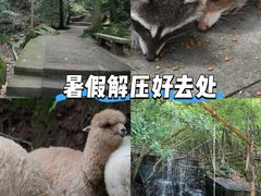 -昆明青龙峡风景区