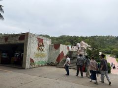-广东惠东海龟国家级自然保护区
