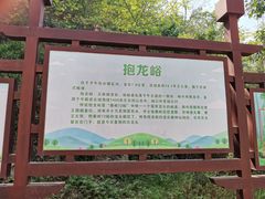-抱龙峪