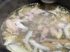 -春润大地海南椰子鸡(沙井京基百纳广场店)