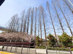 -齐岸健身(花园城店)