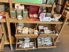 -长春堂顺时而饮(前门店)