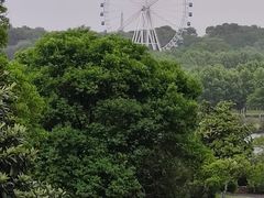 -宜兴龙背山森林公园