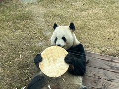 -无锡动物园·太湖欢乐园