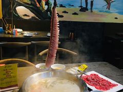 -土著渔匠·养生蝴蝶鱼(香樟路店)