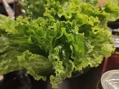 -九田家黑牛烤肉料理(中北镇店)