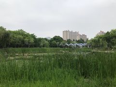 -暨阳湖生态园