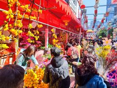-越秀西湖花市(广州城市广场花卉店)
