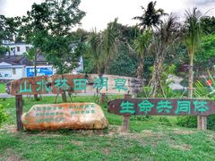 -沙美村