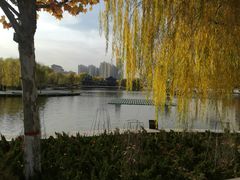 -雁滩公园
