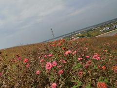 -恋山坝上草原