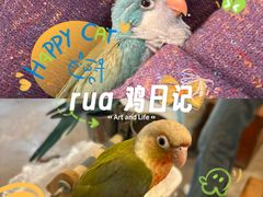 -吉丁鸟咖·异宠·寄养