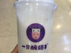 -一只酸奶牛(八一路店)