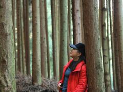 -武陵山森林公园