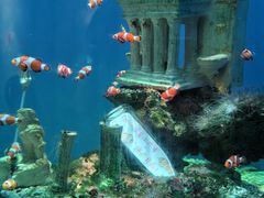 -海合安武汉极地海洋公园